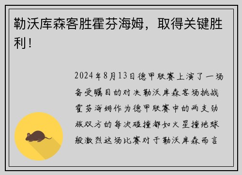 勒沃库森客胜霍芬海姆，取得关键胜利！